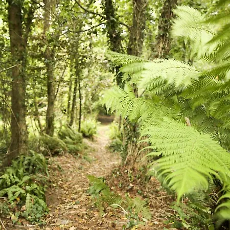 Apartman Killeena House Baltimore