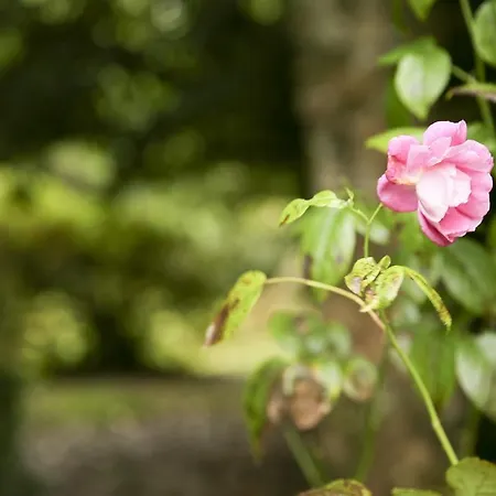 Apartment Killeena House