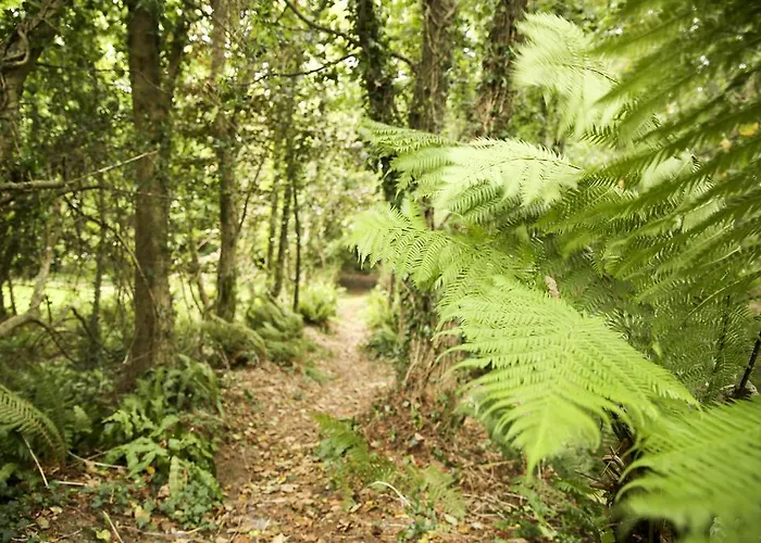 Apartmán Killeena House Baltimore